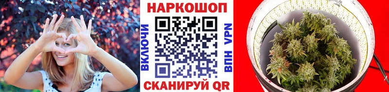 Магазины продажи наркотиков Ельня ГАШ  APVP  МЕФ  Бошки Шишки 