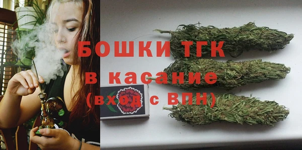 гидра Михайлов