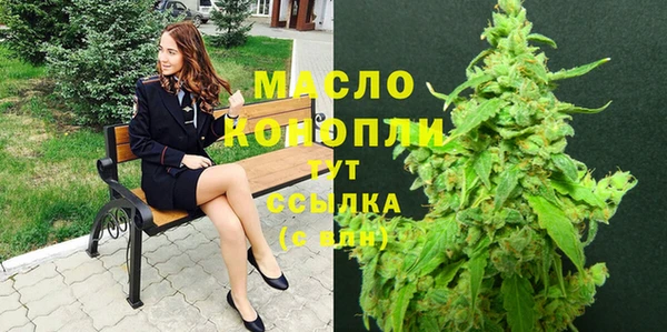 гидра Михайлов