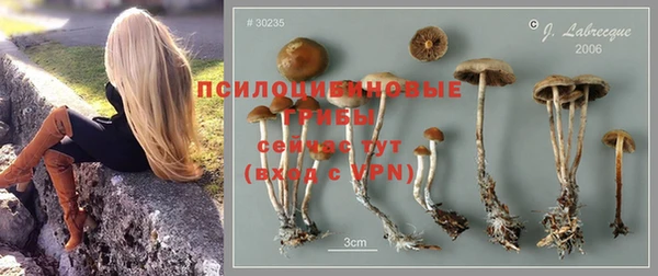 ECSTASY Михайловка